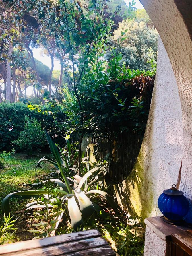 La Casa Di Nataly Bed & Breakfast Fregenae Luaran gambar
